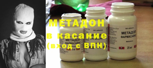 прущие грибы Горно-Алтайск