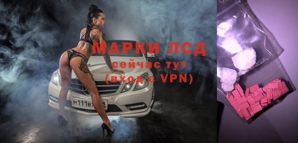 прущие грибы Горно-Алтайск