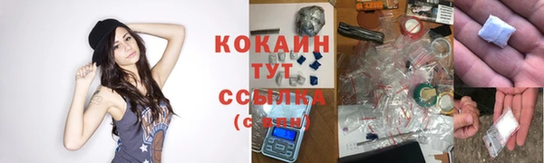 прущие грибы Горно-Алтайск