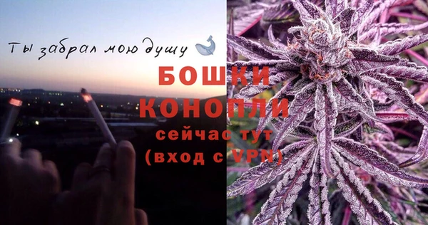 прущие грибы Горно-Алтайск