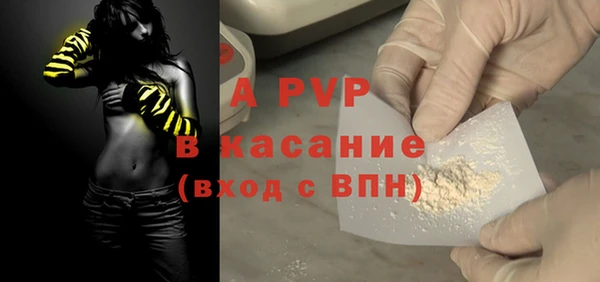 прущие грибы Горно-Алтайск
