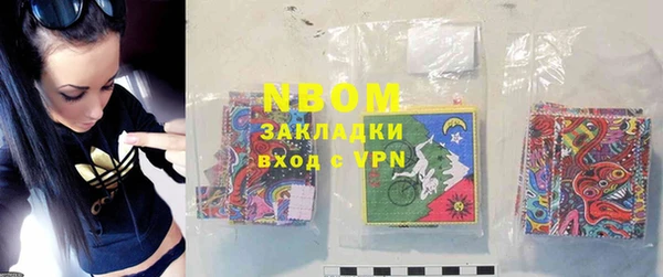прущие грибы Горно-Алтайск