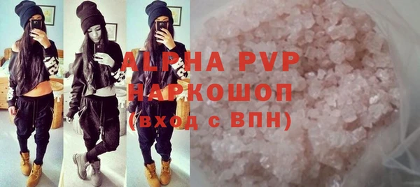 прущие грибы Горно-Алтайск