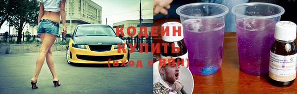 прущие грибы Горно-Алтайск