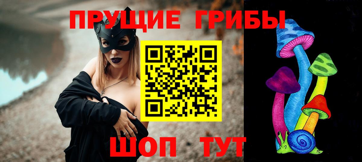 Псилоцибиновые грибы Cubensis  Вход с VPN  Мончегорск 